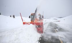 Ordu'da karla mücadele çalışmaları devam ediyor
