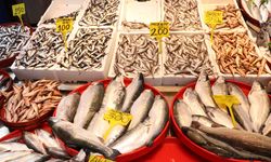 Trabzon'da ramazan ayında balığa talep arttı