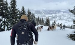 Kar Altında Mahsur Kalan Atları Köyün Gençleri Kurtardı