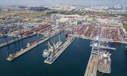 TÜİK Ocak Ayı Dış Ticaret Endekslerini Açıkladı