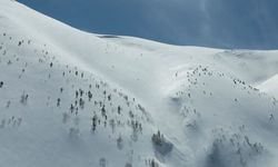 Artvin'de Çığ Faciası: Kayıp Kişi İçin Çalışmalar 86 Gündür Sürüyor