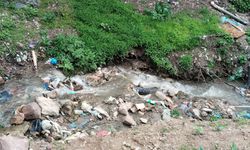 Artvin Bunu Mu Hak Ediyor?