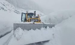 Kar Engelinin Ardından Ulaşım Yeniden Başladı