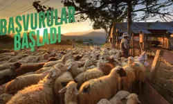 Yetiştiricilere Destek Fırsatı