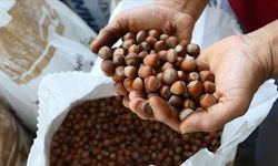 Artvin’de Fiyatlar Rekor Kırdı