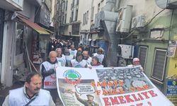 Emekliler: “Sandıkta Görüşeceğiz”