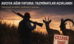 Avcıya Ağır Fatura: Tazminatlar Açıklandı