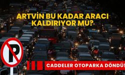 Artvin’de İnsandan Çok Araç Var!