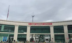 Sarp Sınırında TIR Akını