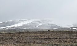 Ardahan'ın yüksek kesimlerinde kar etkili oldu