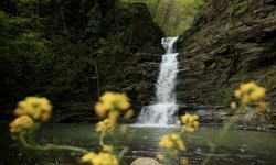 Kabaceviz Şelaleleri baharla yeşil örtüsüne kavuştu