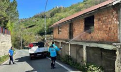 Trabzon'da Kokarca ile Mücadele Sürüyor