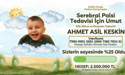 Artvin Evladına Sahip Çıkıyor