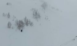 Zekeriya Köyü’nde Aramalar Risk Engelinde