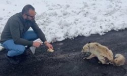 Tilkiye Katmer İkram Etti