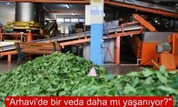 Çay fabrikası kapanıyor mu?
