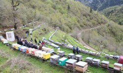 Apiturizmde Gelecek Vadediyor