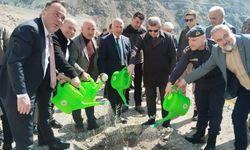 450 Butko Zeytini Fidanı Toprakla Buluştu