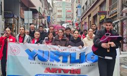 Voleybol Heyecanı Başladı