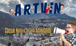 Artvin 17,9 Oranında Geriledi