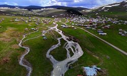 Ardahan'ın yaylaları baharla canlanmaya başladı