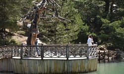 Gümüşhane'deki Limni Gölü'nde turizm sezonu başladı