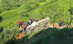Rize'de çay bahçesine devrilen kamyonetin sürücüsü yaralandı
