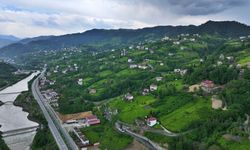 Trabzon'da çay hasat töreni düzenlendi