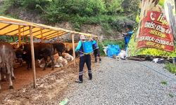 Trabzon'da kurban satış ve kesim alanları dezenfekte edildi