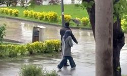 Haylaz karga sahilde yürüyenlere 'musallat' oldu