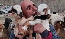 Fenomen çobanın oğlak sevgisi yürekleri ısıttı