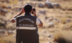 Doğa Koruma ve Milli Parklar Genel Müdürlüğü 92 sözleşmeli personel alacak