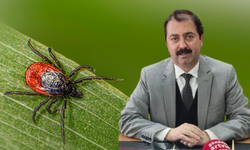 Artvin’de Kene Alarmı