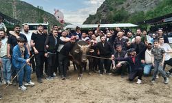 Melo Boğa Güreşleri Festivali Renkli Görüntülerle Sona Erdi