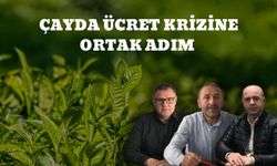 Çay Sezonuna Ortak Ücret Deklarasyonu