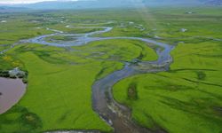 Ardahan'da yeşile bürünen Kura Nehri'nin menderesleri FPV dronla görüntülendi