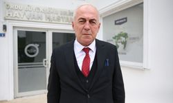 Ordu'da 7 yılda yaklaşık 25 bin sahipsiz hayvanın tedavisi ve bakımı yapıldı