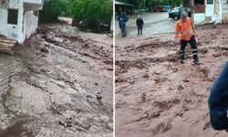 Artvin'de Sağanak Sonrası Dereler Taştı