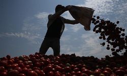 Valiliklere 'mevsimlik işçilerin çalışma ve yaşam koşullarının iyileştirilmesi' talimatı