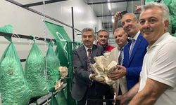 Artvin Üretti: İlk Hasat Gerçekleştirildi