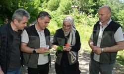 5 Bin Samuray Arısı Salındı