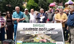 Şavşat'ın Son Yeşil Alanı İçin Koruma Çağrısı