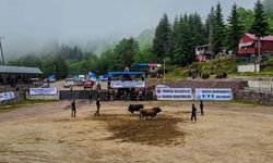 Damar Festivali’nde ilk günün şampiyonları belli oldu