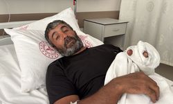 Ayı saldırısına uğrayan kişi yaralandı