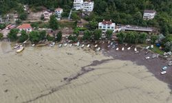 Cide Limanı ile Balıkçı Barınağı su taşkınları nedeniyle balçık ve odunlarla kaplandı
