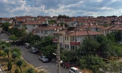 Kastamonu'da leylekler kent merkezini mesken tuttu