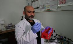 Kenelere karşı 'dikkatli olunması ancak panik yapılmaması' uyarısı