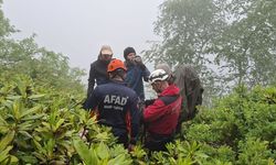 Rize'de yaylada kaybolan 3 yabancı uyruklu kişi kurtarıldı