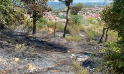 Sinop'ta Boyabat Kalesi eteklerinde çıkan örtü yangını söndürüldü