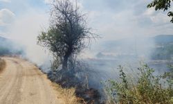 Sinop'ta çıkan anız yangını söndürüldü